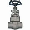 Forged Steel Globe Valves With Class 800 to 2500