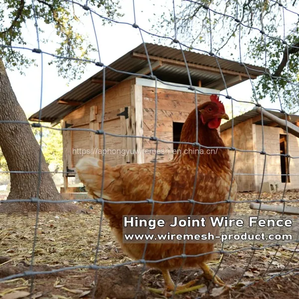 Farm Fence Field Fence Goat Cattle Deer Stock Fencing Grassland Hinge Joint Fixed Knot Fence High Tensile Strenght photo-4