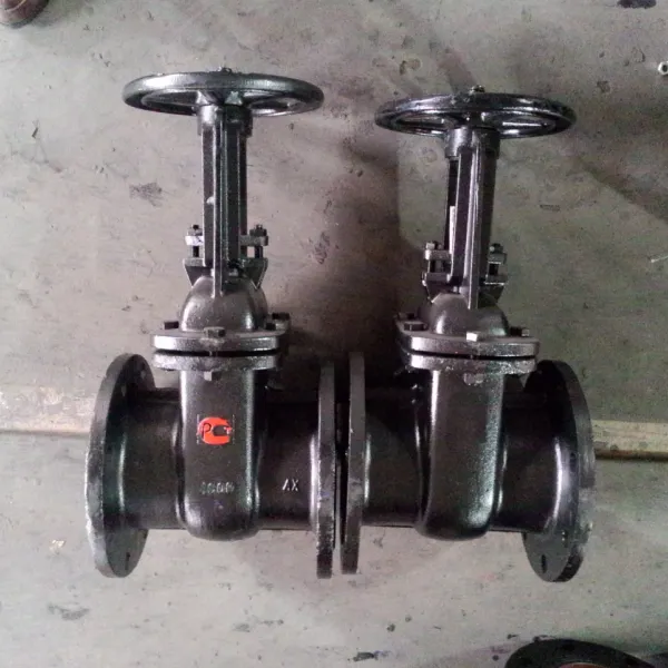GOST DN80 DN150 PN16 Cast Iron Carbon Steel WCB Flange Gate Valve Metal Seal Water Industrial Gate Valves photo-6