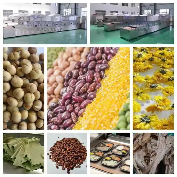 Industrial Microwave Seafood Sterilizing Machine Fish Shrimp Squid Maturation Dryer Meat Dehydrator Processing Plant EPC photo-2
