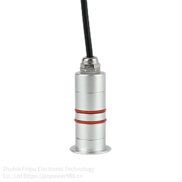 Feipu Supplies Led Park In-ground Lights Pndm-1w-a28l, Exquisite and Miniature Low-voltage Greenway In-ground Lights photo-4