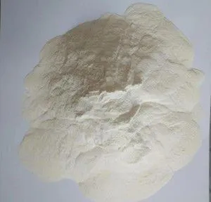 Xanthan Gum Powder 80 Mesh Food