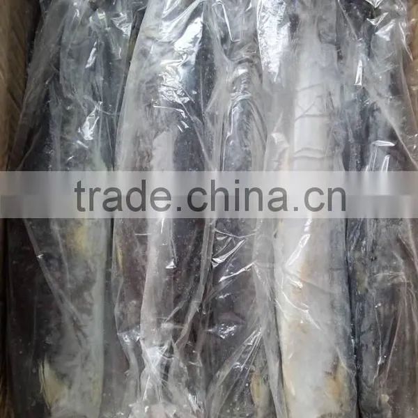 High Quality WR IQF Frozen Spanish Mackerel and Scomberomorus Niphonius photo-6