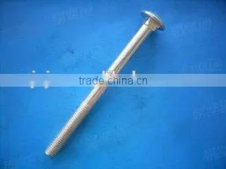 China Supply High Quality Hardware Stainless Steel Carriage Bolt photo-5