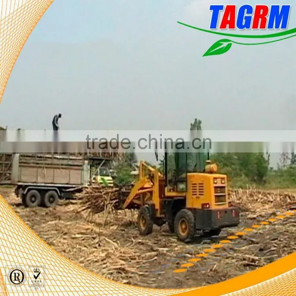 China TAGRM Mini Sugar Cane Loader/sugar Cane Loader Machine/sugar Cane Loading Machine ZLG16 photo-3