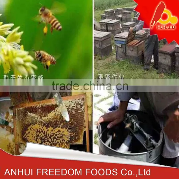 High Quality Bulk Honey Price for Honey Buyers photo-3