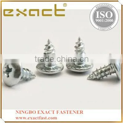 Self Tapping Screw Galvanized Steel Tapping Screw photo-4