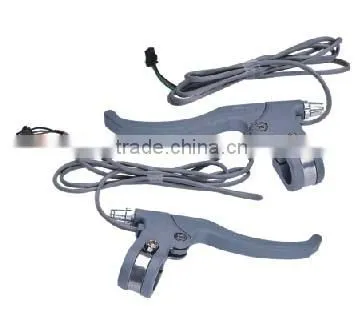 The Ebike Part