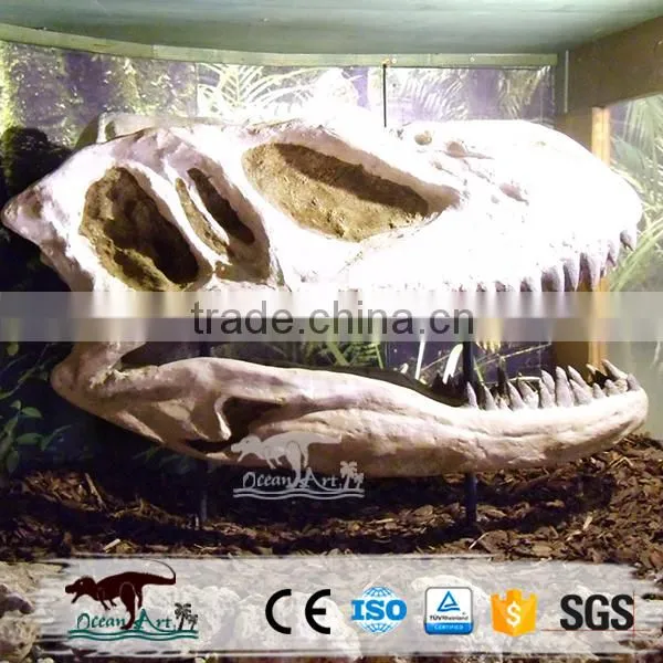 OA4075 High Quality Replica Dinosaur Fossils