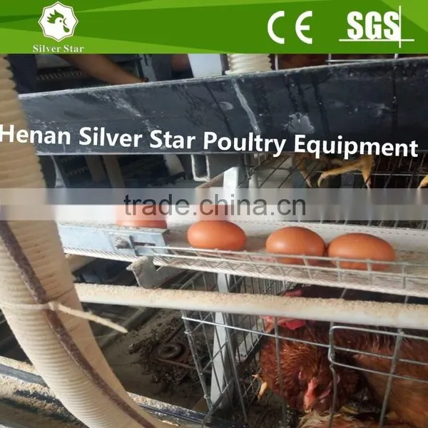 Automatic Egg Collecting Machine for Chicken Layer House Shed photo-4