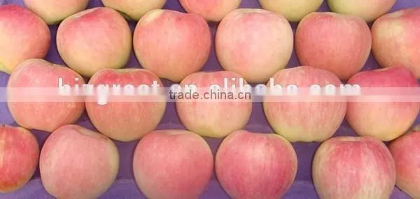 Chinese Fresh Sweet Red Star Apple With Good Quality photo-5