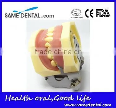 Dental Eduction Assitant No. DEA-06 photo-3