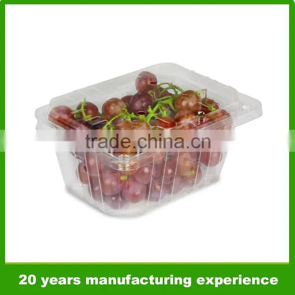 Hot Sale Grape Plastic Fruit Packaging Transparent Box
