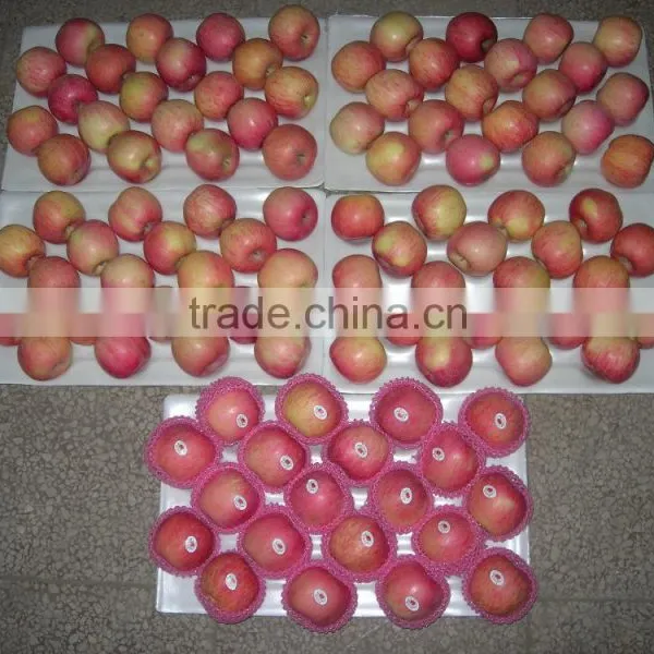 2015 New Crop Chinese Fresh Fuji Apple From Best Food photo-4