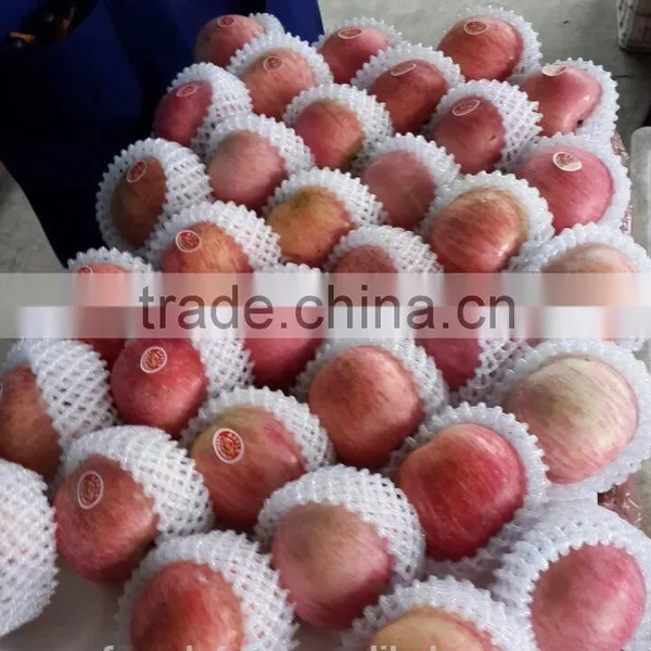 Yantai Fresh Apple/china Fresh Apple photo-2