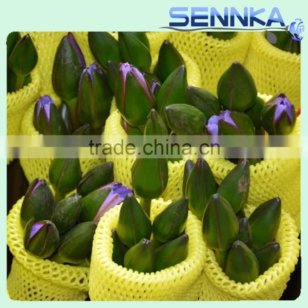 Quality Fresh Cut Flower in China /design Roses/jasmine/decorative Natural Flowers