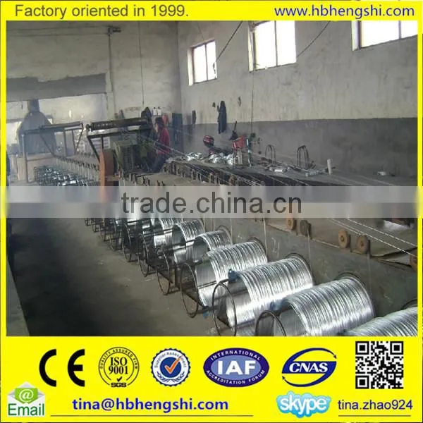 High Security Galvanized Metal Wire With Lower Price / Galvanized Binding Wire photo-2