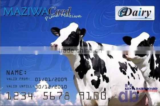 Double Frequency RFID Card photo-4