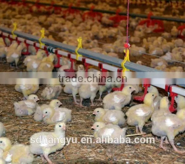 Poultry Farm Equipment For Chicken Feeder photo-4