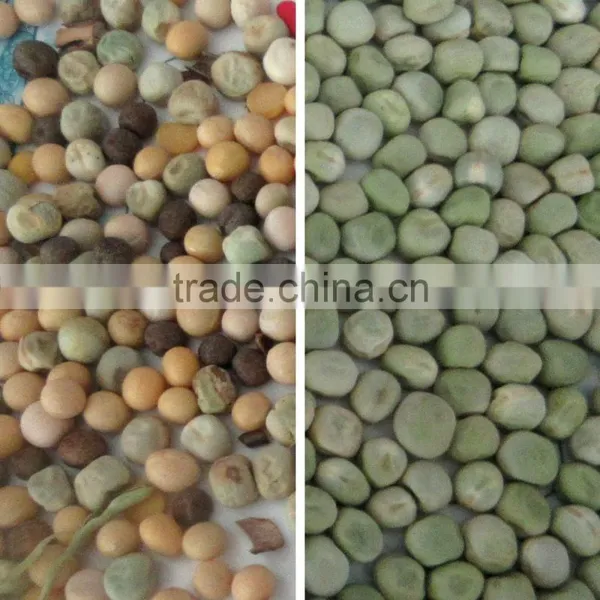 Pea Color Sorter Machine photo-2