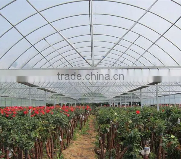 China Supplier Tunnel Greenhouse for Fruit photo-5
