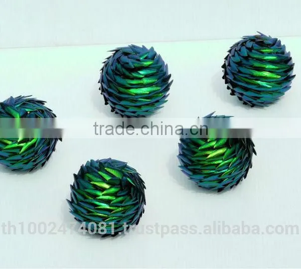 2014 Hot Sale Natural Beetle Brooches photo-5