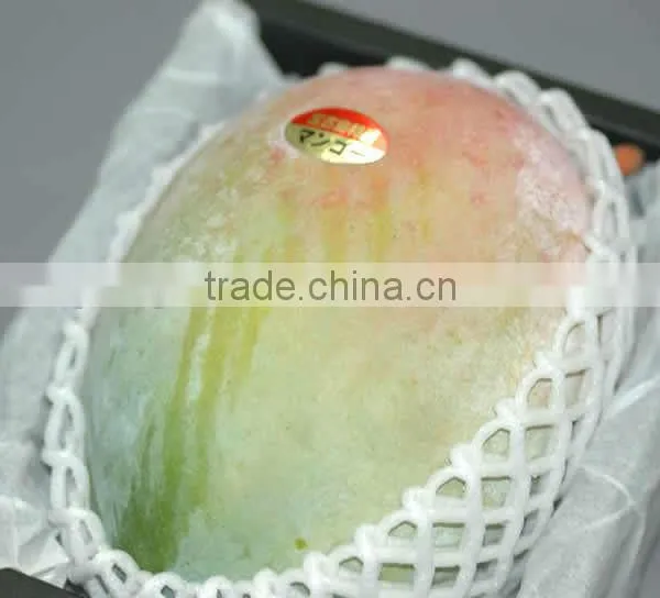 EPE Plastic Safe Biodegradable Fruit Foam Netting photo-6