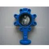 Lug Type Butterfly Valve