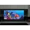 Full Color Energy Saving Indoor Led Screens