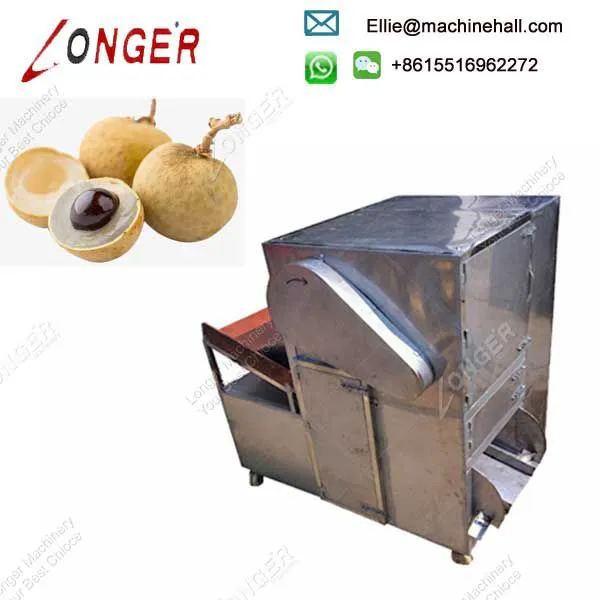 Automatic Removing Coring Longan Pitting Machine photo-3