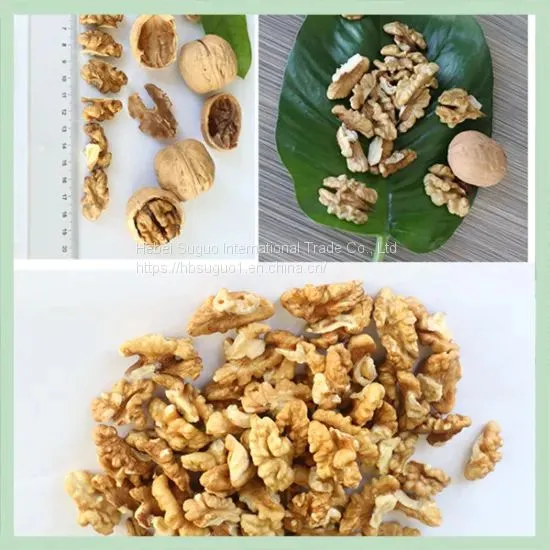 New Crop Dry Walnut Walnuss Nuts Nuss/China Xinjiang/ Walnut Food/ Food Wholesale photo-2