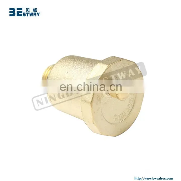 ISO Certification Strict Quality Radiator Air Valve