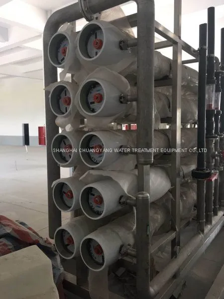Purified Water Distribution Loop System for Pharma Company photo-4