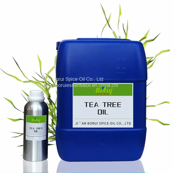 Wholesale Bulk Organic 100% Pure Natural Tea Tree Essential Oil for Acne & Hair