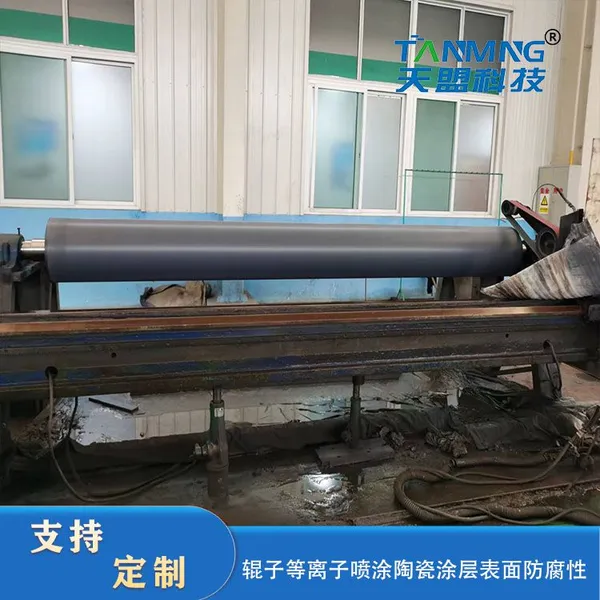 Ceramic Roller photo-5