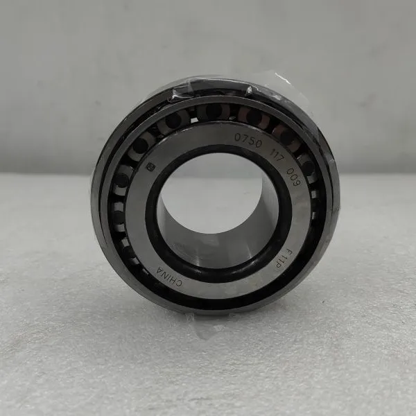 ZFL Gearbox Bearings 0750117009 Bearing 0750 117 009 photo-6