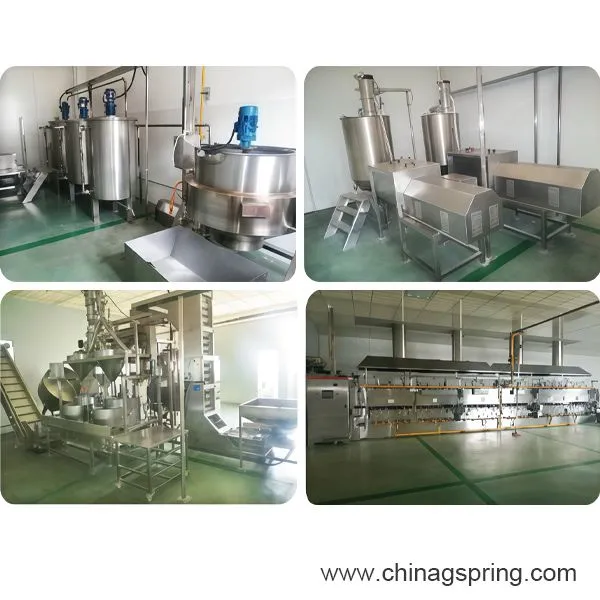 High Capacity Peanut Coating Machine PLC Control for Snack Food Processing photo-4