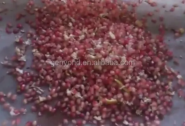 Pomegranate Seeds Peeling Machine/pomegranate Processing Machine photo-3