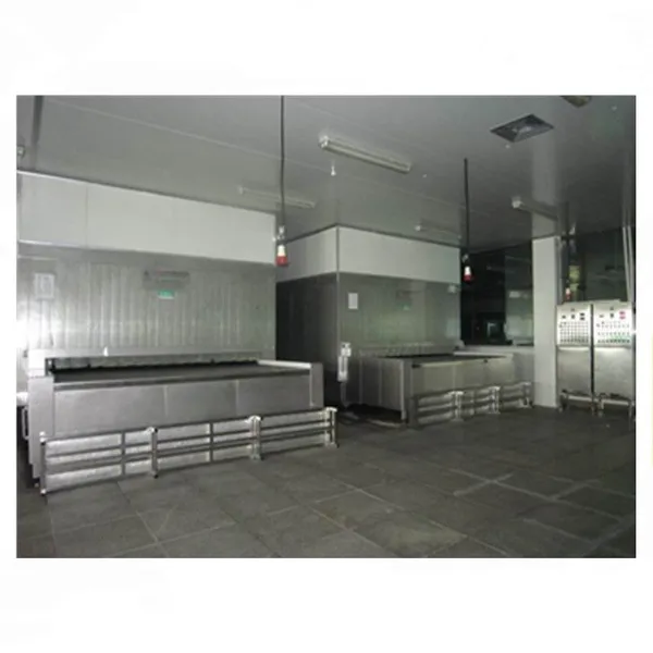 Shanghai SSD Series IQF Quick Freezing Refrigeration System photo-3
