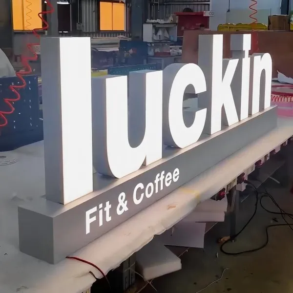 Custom Advertising 3d Led Metal Channel Letters Sign Front Back Lit Outdoor Business Logo For Hospitals Schools Ipx3 Waterproof photo-2