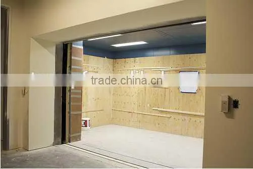 Machineroomless Freight Elevator