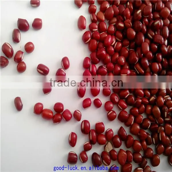 High Quality New Crop Azuki Beans photo-6