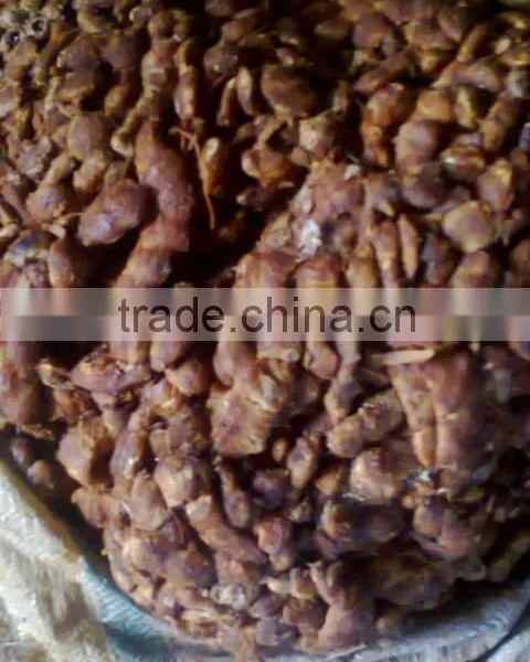 Tamarind photo-4