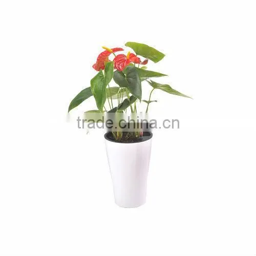 Beautiful Flowerpot for Home Decoration, Self-water Plant Pots