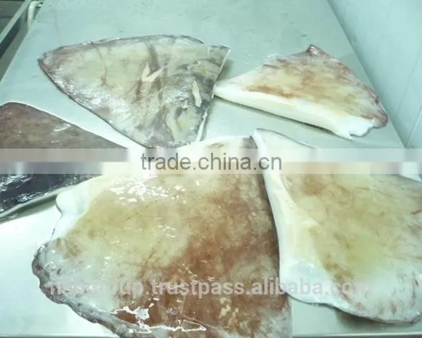 Giant Squid Wing photo-4