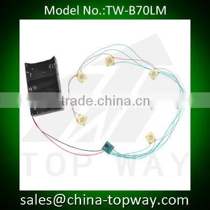 Custom LED Strings With 3D Battery Holder