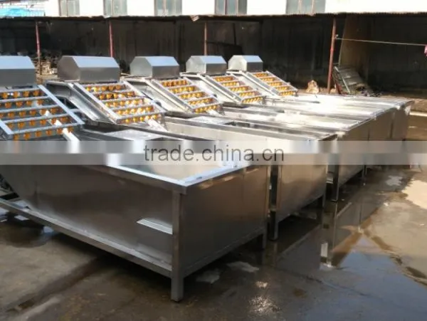 Washing Tank for Fruits for Berry Cleaning Machine/ Washing of Apples