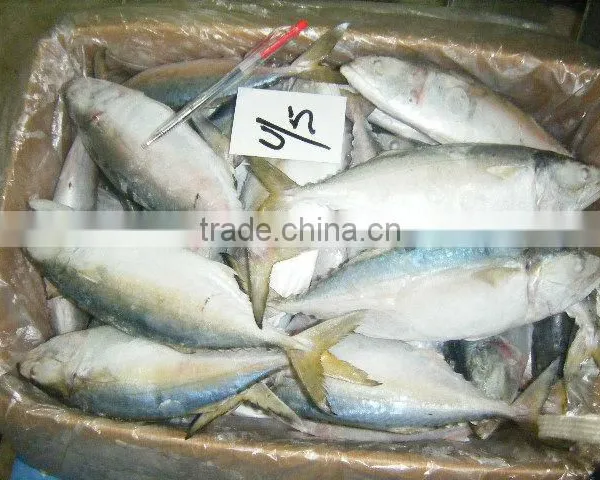 Frozen Fish / Crabs / Shrimps / Clams and Dried Fish Skin & Bones photo-2