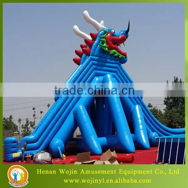 Giant Inflatable Water Slide for Adult photo-2