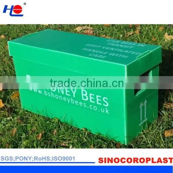 Plastic Cartonplast Box photo-2